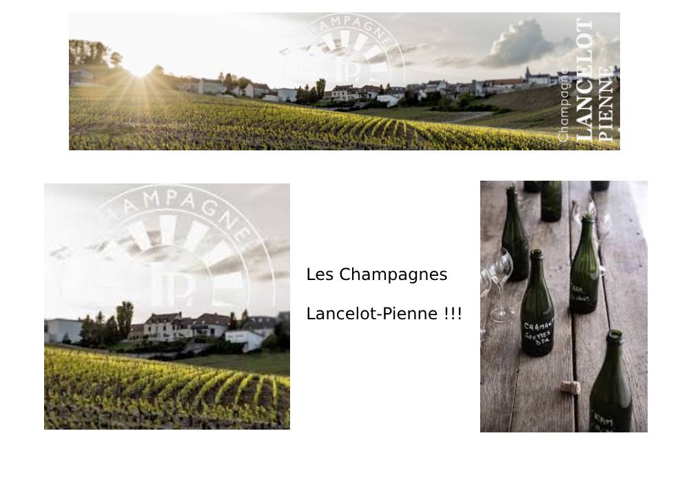 Les Champagnes Lancelot-Pienne