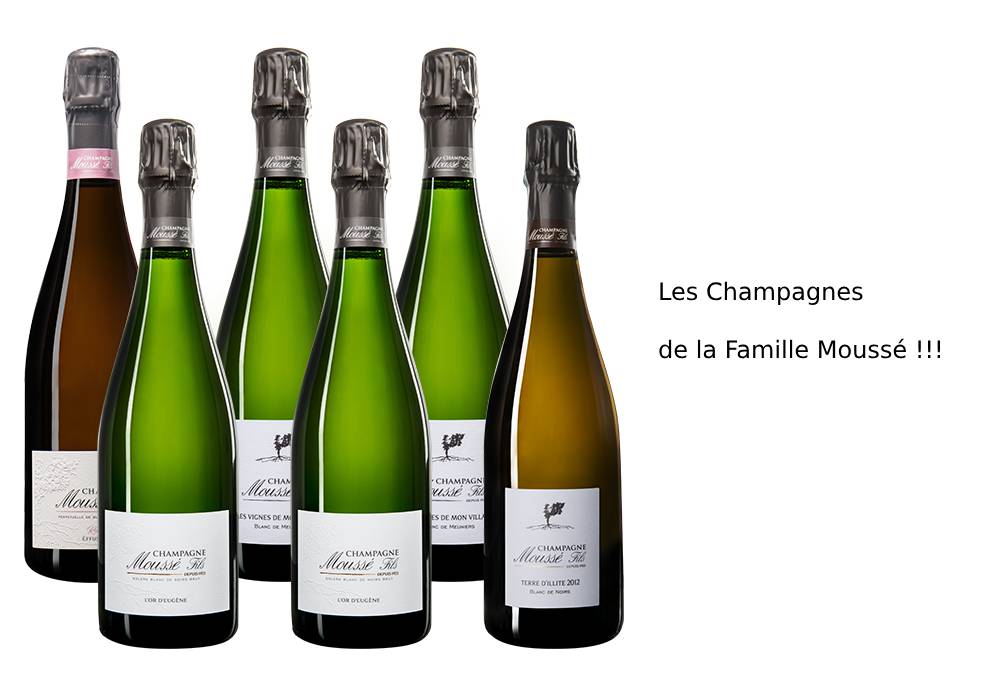 Les Champagnes de la Famille Moussé